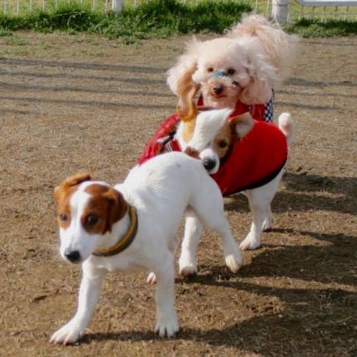 35fef276 33f8 4d14 8b57 82438faa68a7