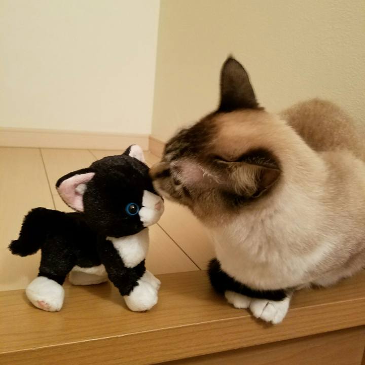 35fef5b2 cf98 472c b2f8 ffcaa105755a