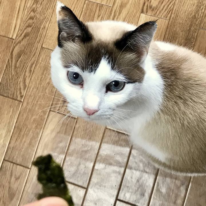 35ff1fc9 104c 44b3 85fa 9be591a10585