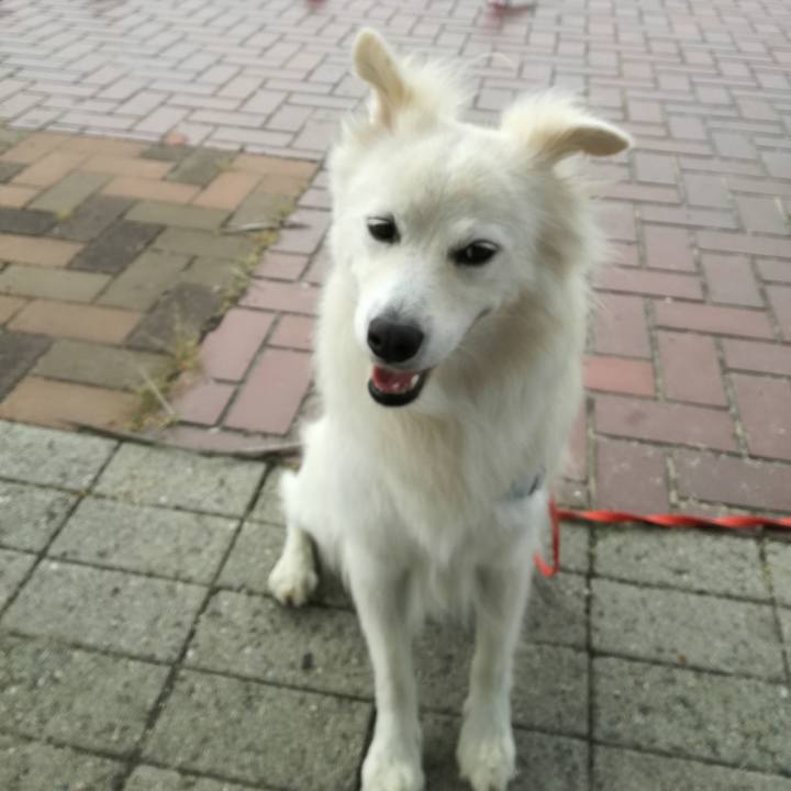 35ff69c3 69ef 436d 8473 e51206519d7b