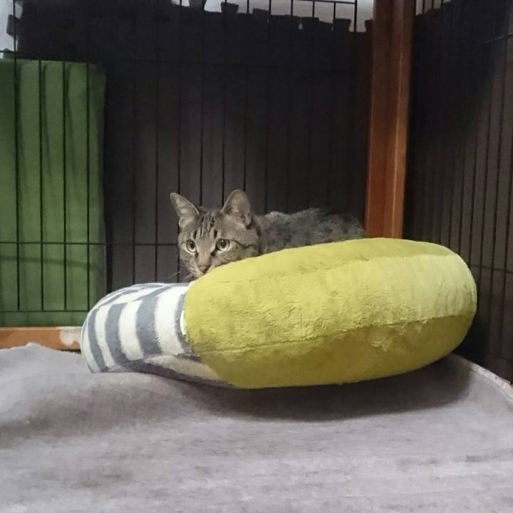 35ffdc09 a315 41bf 9409 3c9239bdfa33