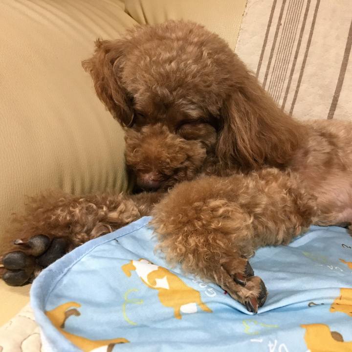 36011288 216e 4850 a486 4cf02cbe18f6