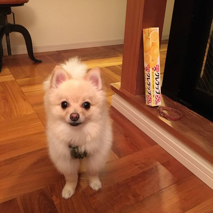 3601be34 4d01 4749 ad7c 13895673408b