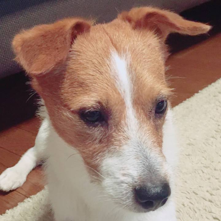 3601e2a2 ea2a 4f53 acf1 2445790c9ca9