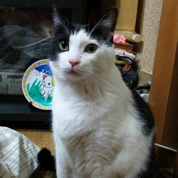 36021af9 06c5 4de2 92a7 4bc6fb454d72