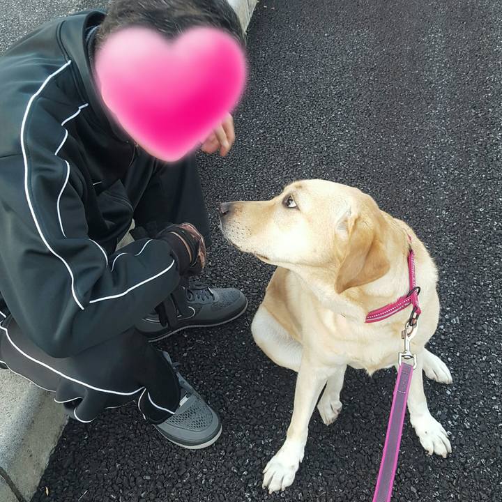 36021cdd 82a9 4ed3 8533 b9a775e18aae