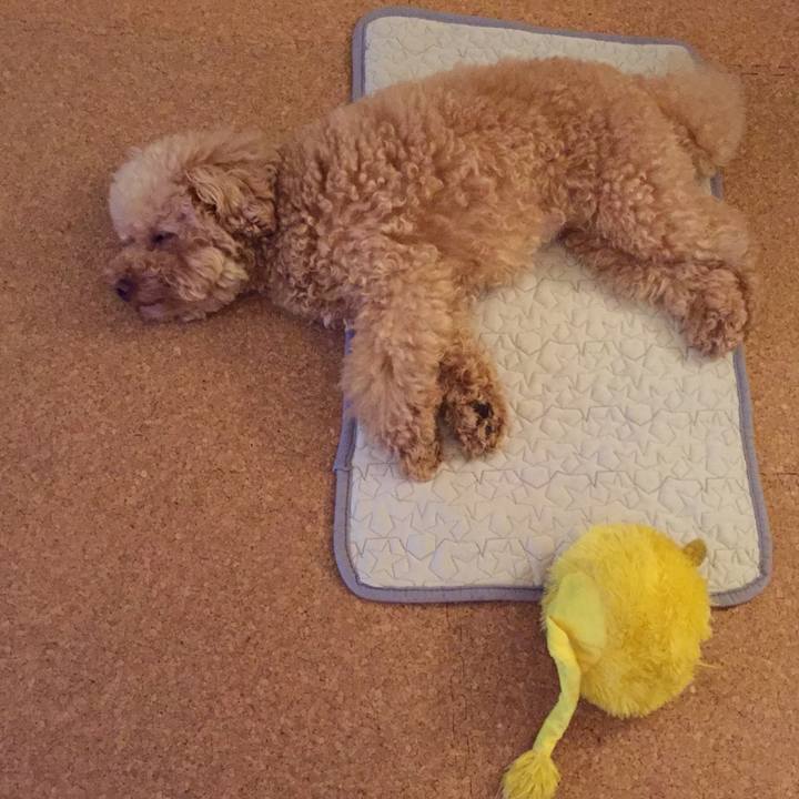 3602cdc4 5f62 4506 b074 172ed8265d8d