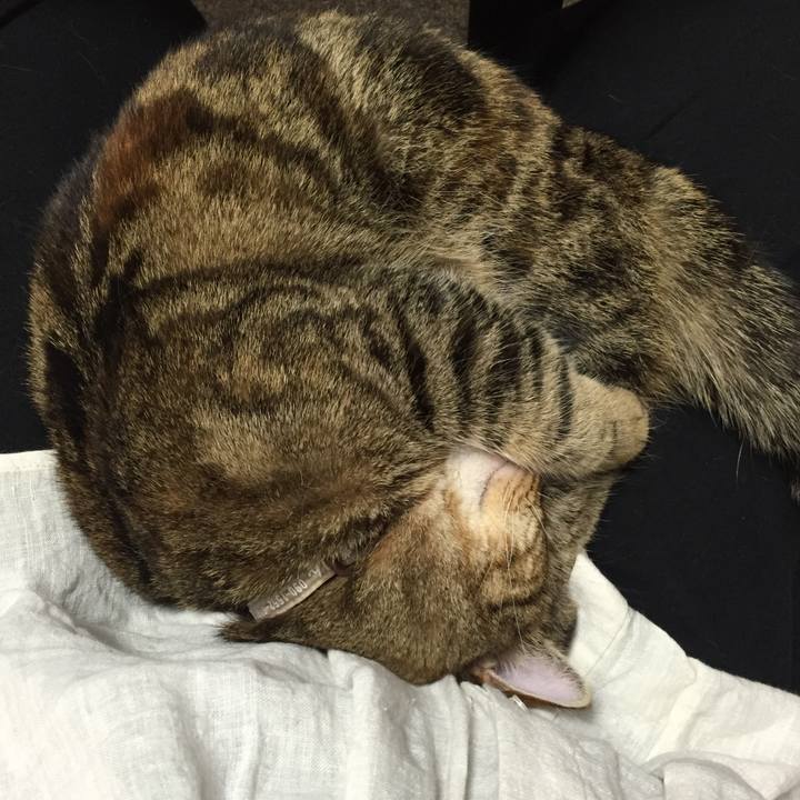 360365ed 7dce 4c45 963d 38d8b3f4d037