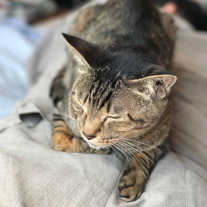 3603b739 3c45 4c9f 8793 738f692924e6