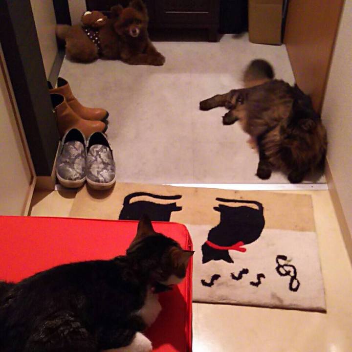 360453f0 6ad5 49af 9662 f5d9d945c9f3