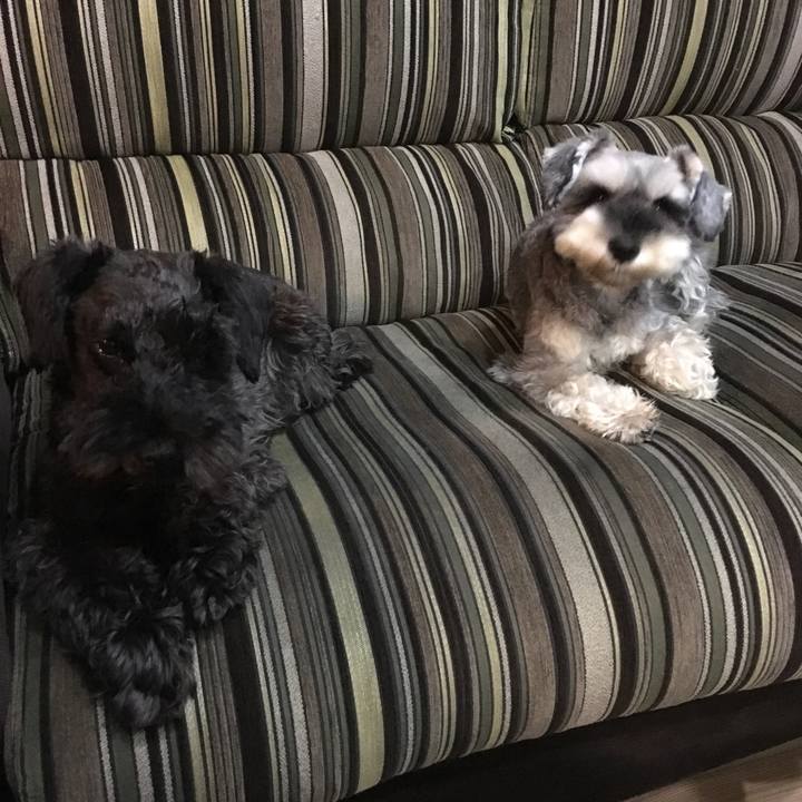 360464d3 6092 42f9 8e6c 67434004a49c