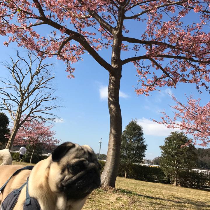 36046baa a62c 49d8 9b58 ee87dace8a5c