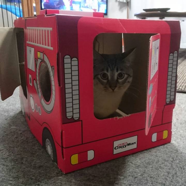 36047942 1a10 49ee 934e fd1bf686bdca