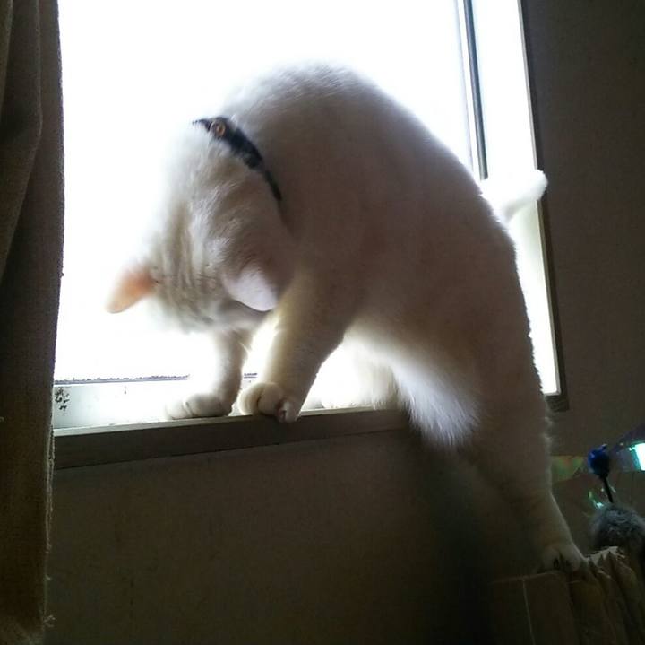 36049650 259f 4319 8ed7 62f1cca4d7b6