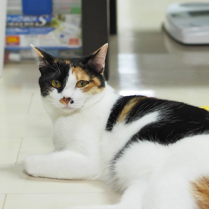 3604b189 c5c8 4d3e 802e 3f48337c0390