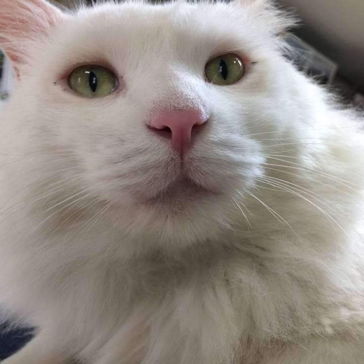 3604cbe3 3089 4a9c b63e 4410b2c2675d