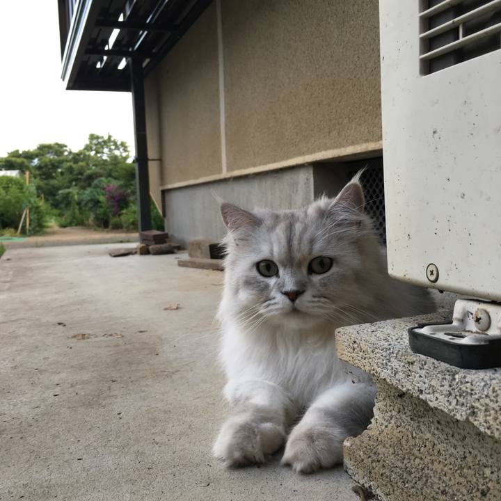 36056158 ea53 4af7 866b 58450a21698f