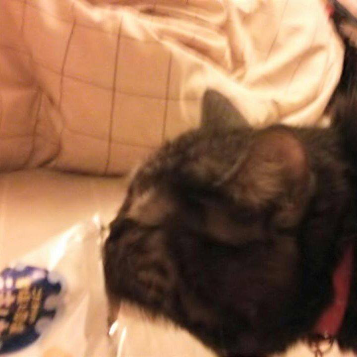 3606d45f bdd9 4d06 bf75 cdf460de6de9