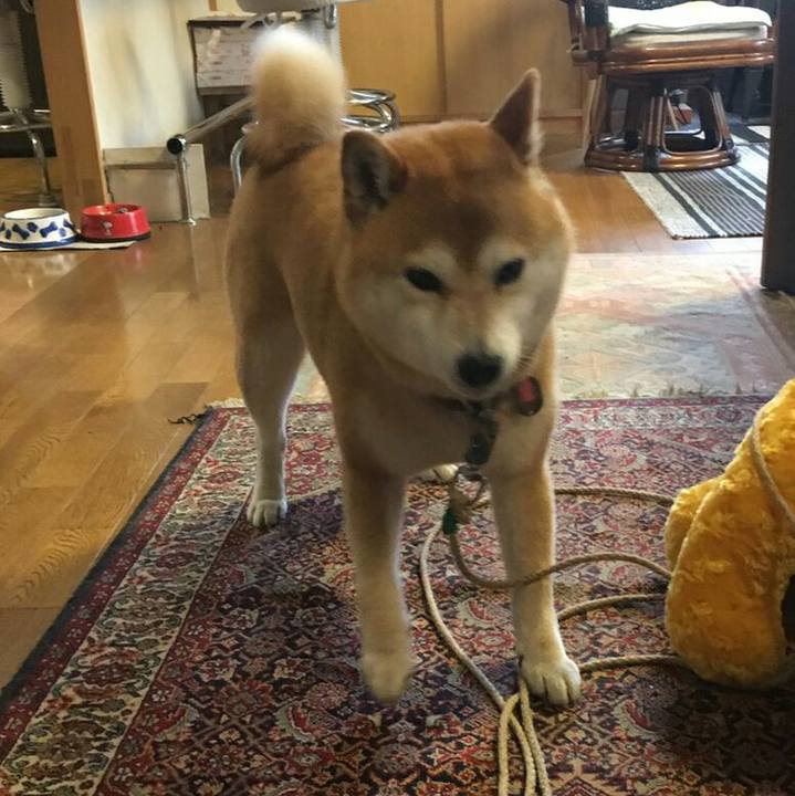 36070779 26dd 4c6c 80bd 1b63be2a1334