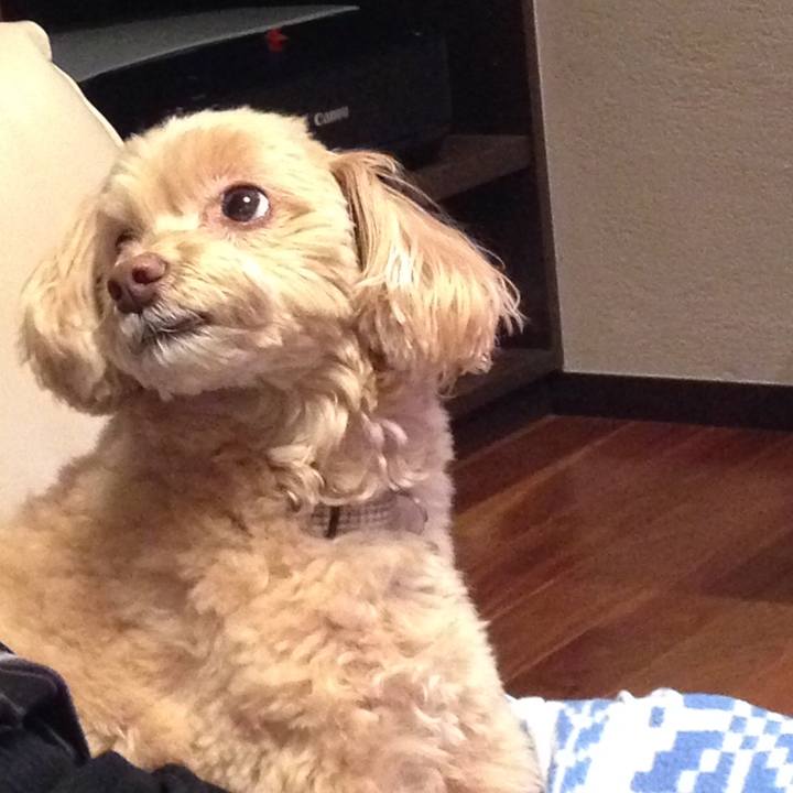 36076893 e57d 4b61 8f18 863bec9d851c