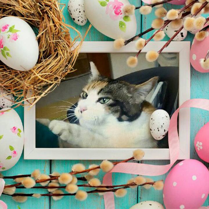 3607903d 008b 4b22 9d07 f1947547aa2f