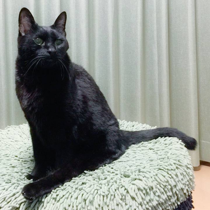 3608595c c587 470c b269 d53ae7ae2f8f