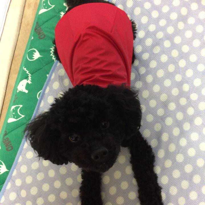 36090dc6 c1a1 4405 a7cb 6c1ddefd64b8