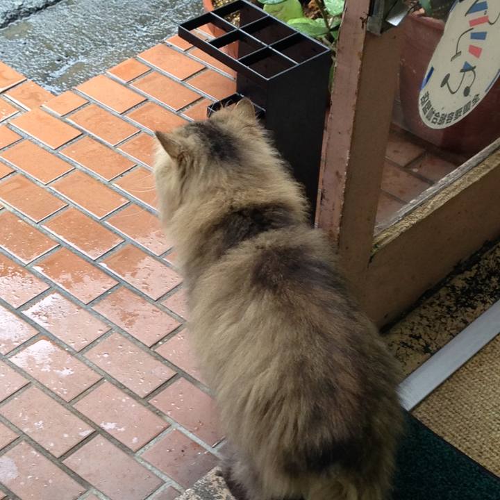 3609263c 24ac 4d0f 85a3 05e09f5603ad