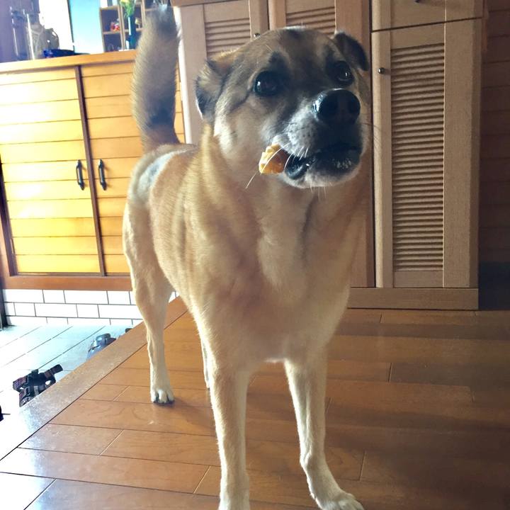 36094db7 9ab8 4f32 afec d0b799e7e885