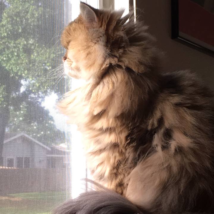 360951b1 6d03 4c9e a2c5 7ef752659177