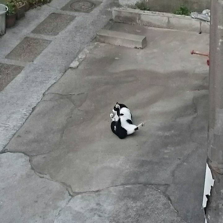 36095303 a5cc 41e3 826b 622650499cb9