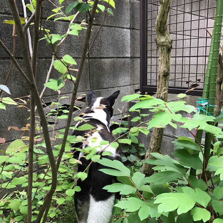 360956e8 311a 41ca 9a75 39a6767b794f