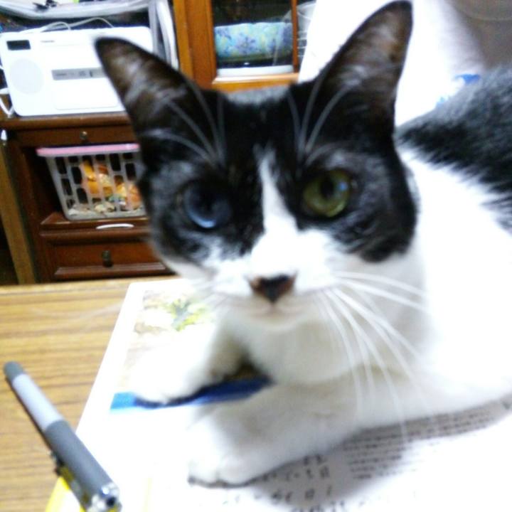 36097ee9 49dd 4e91 899e dd5bc6310079