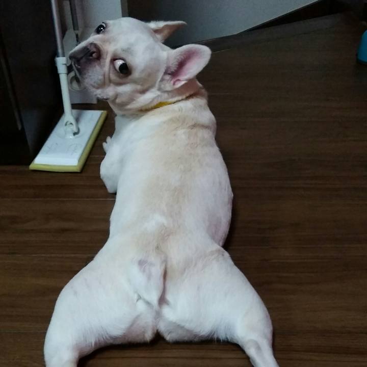 360a1201 2d84 460d 8f5e 49080301288f