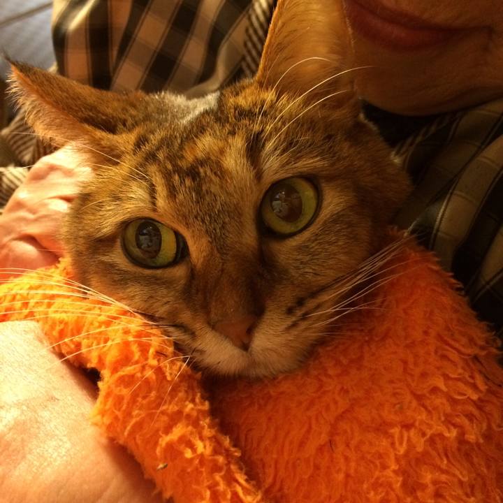 360a3563 8838 4401 898b fbfe02520d98