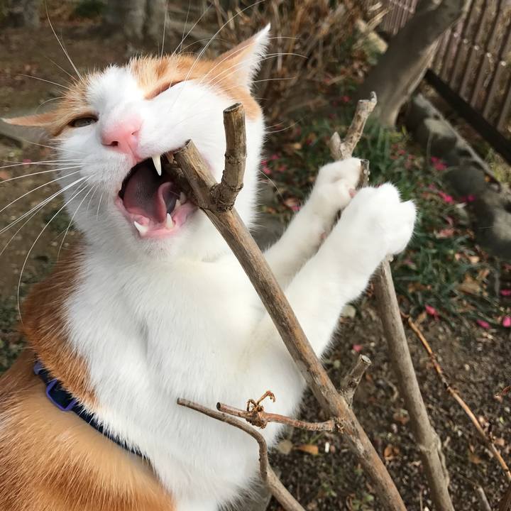 360a4452 d15d 4a9c 9f0e d1062be68c76