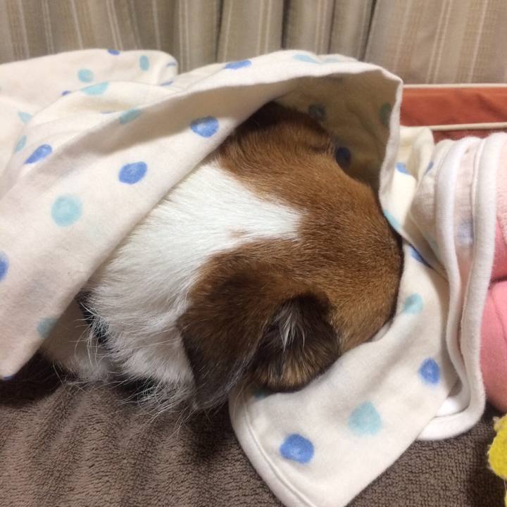 360a9ac4 67e1 439e 89af e708797b50b4