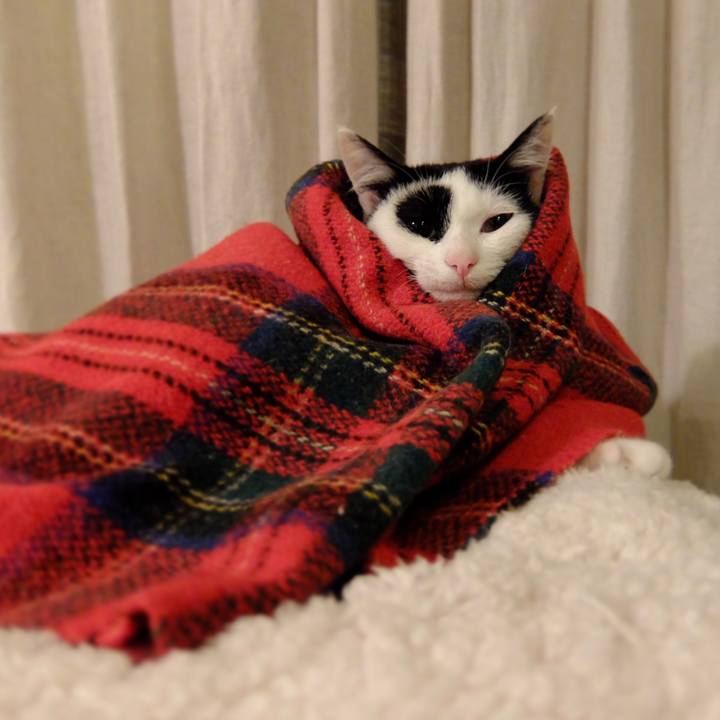 360b0061 222e 4e14 a26a b7f35a475186