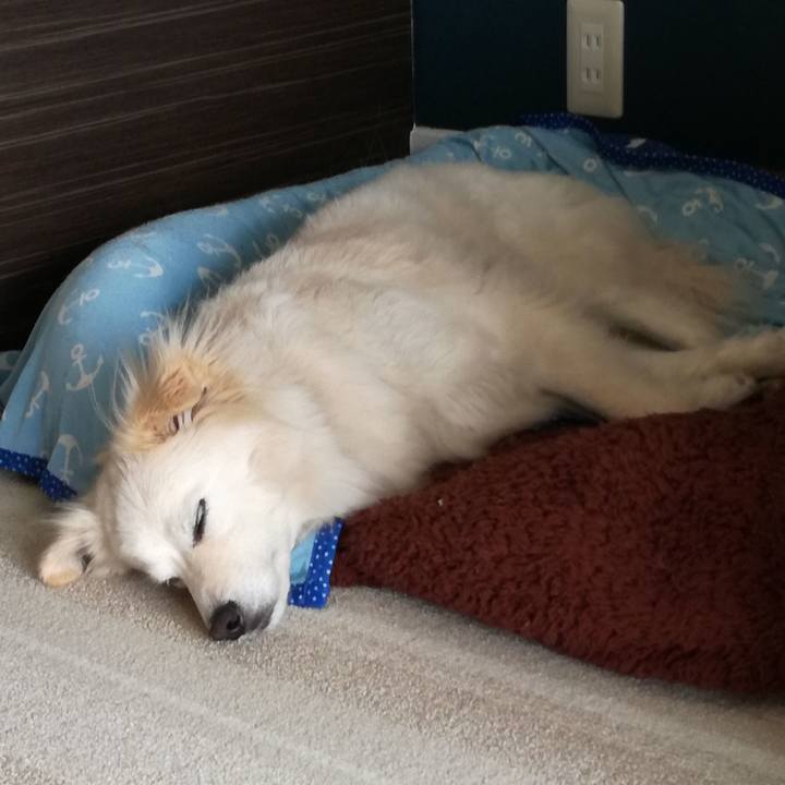 360be7eb c7e1 4454 8e9c bde2bb40eca4