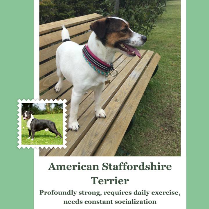 360bf368 a828 4279 b414 f6fa45358ce0