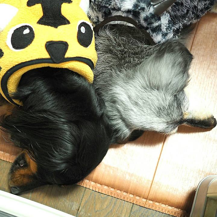 360c000d 86d7 41bf b3b0 e372f107ec77