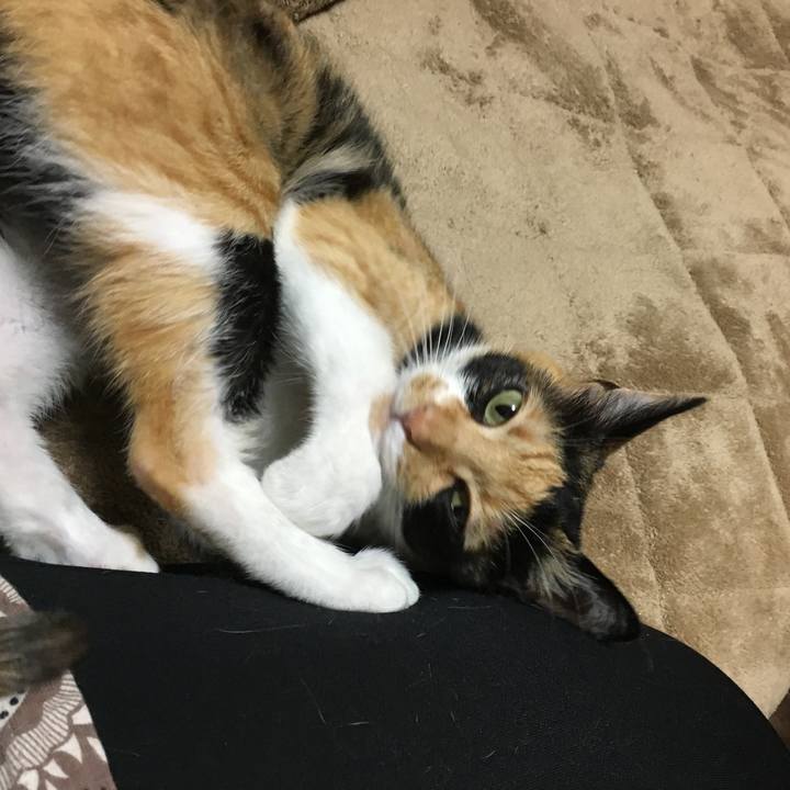 360c5648 d848 4b88 ab32 a785ae250c96