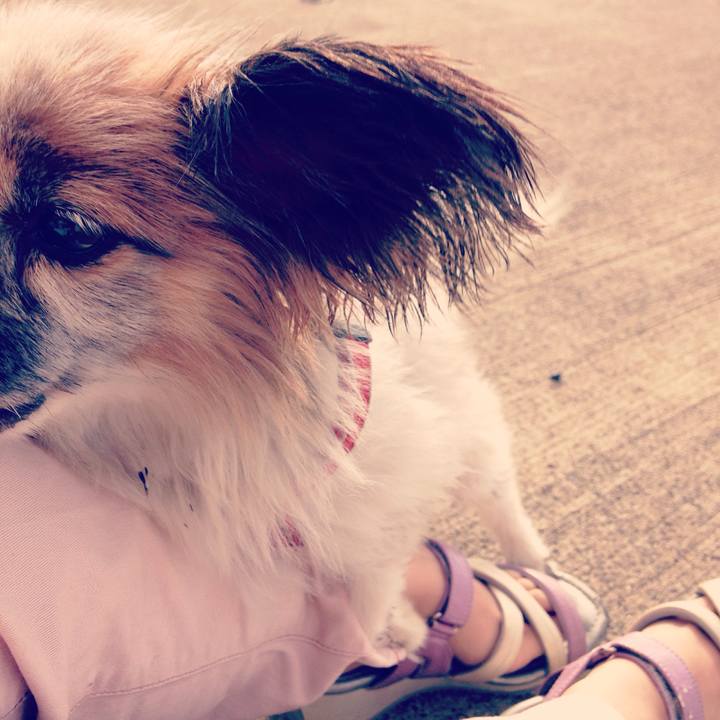 360c8e03 4d0d 4bcf 9112 5a7d0365eaa6