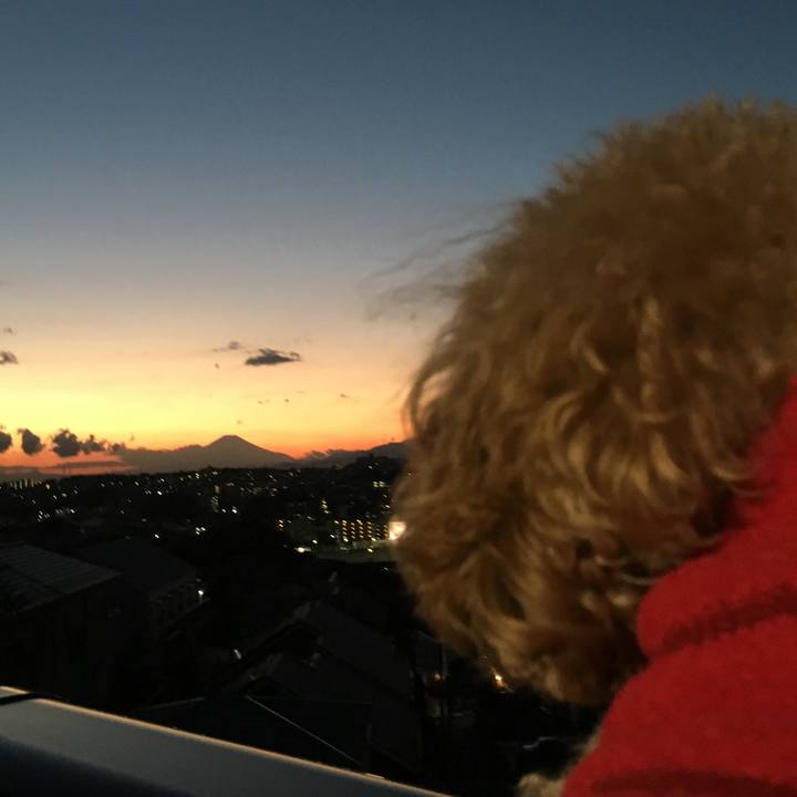 360cc858 af12 4d01 87c8 bc0d1c2092bf