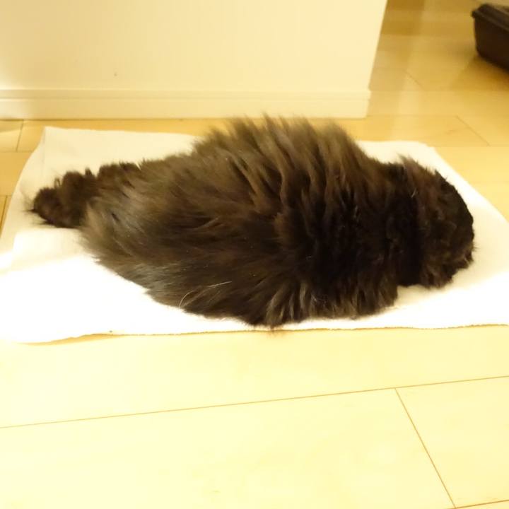 360d3147 280d 4545 9712 7045dee671e3