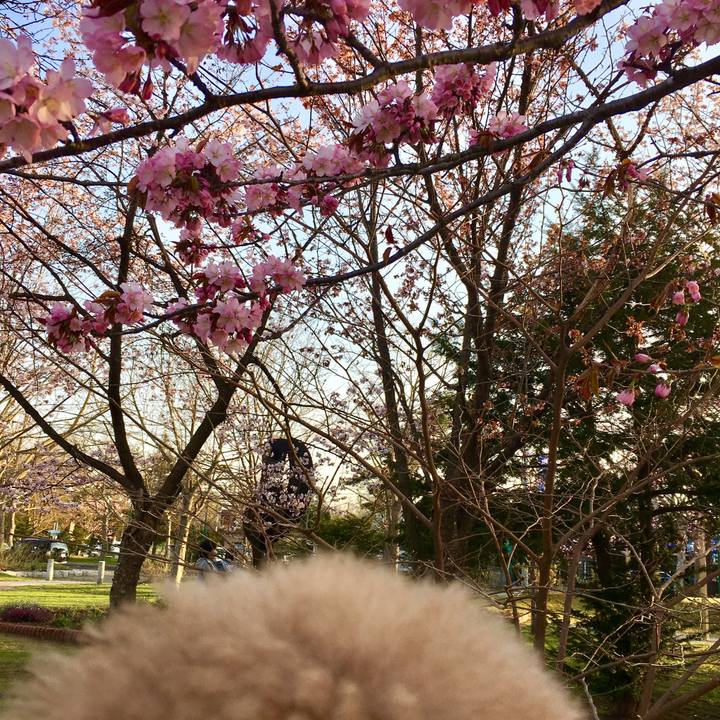 360dcef6 4c5e 443b b46a dbd0199fdb8b