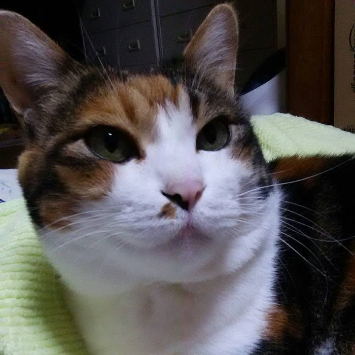 360df492 3931 4892 a61c 214a14897db3