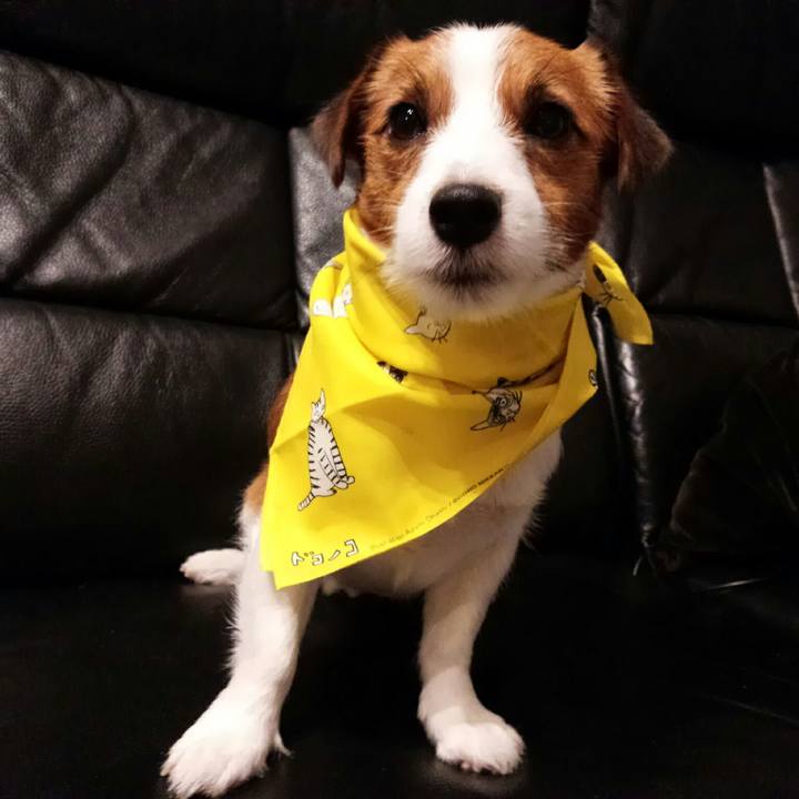 360e16af 759d 45b3 b864 03c7d1d2dfcf