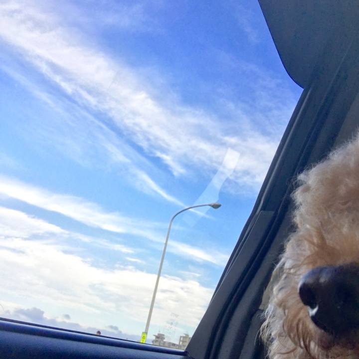 360e3e29 7ea5 4c44 8cbe c0665b11c4e2