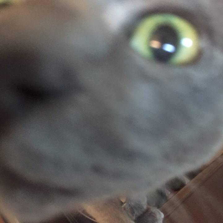 360e78a1 f43a 43fb 9eb6 d0b73319dcca